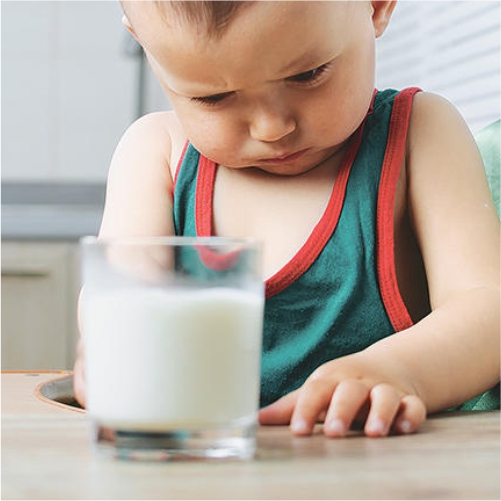 Tratamiento para Proteina de la leche